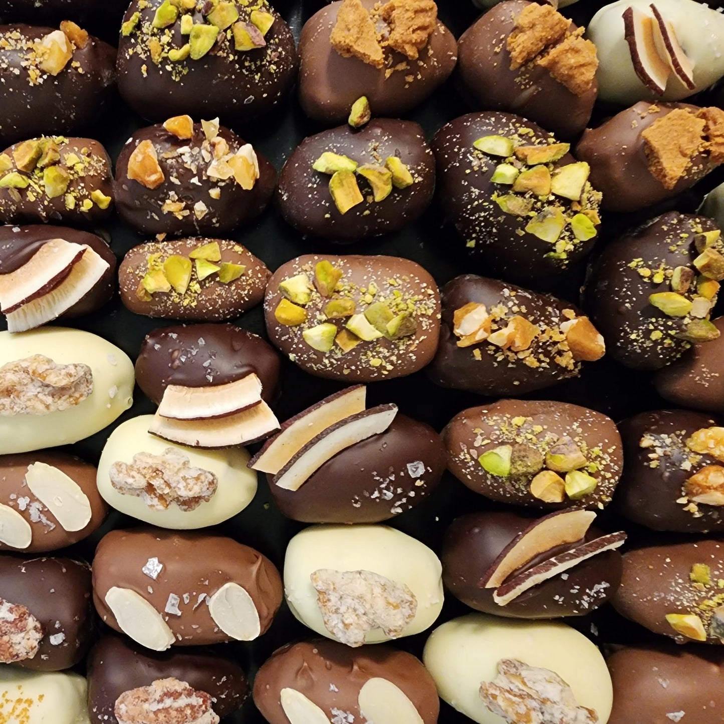 Close-up of about twenty chocolate-covered dates with visible sea-salt flakes, candied pecans, pistachio pieces, coconut and almond toppings in dark, milk and white chocolate