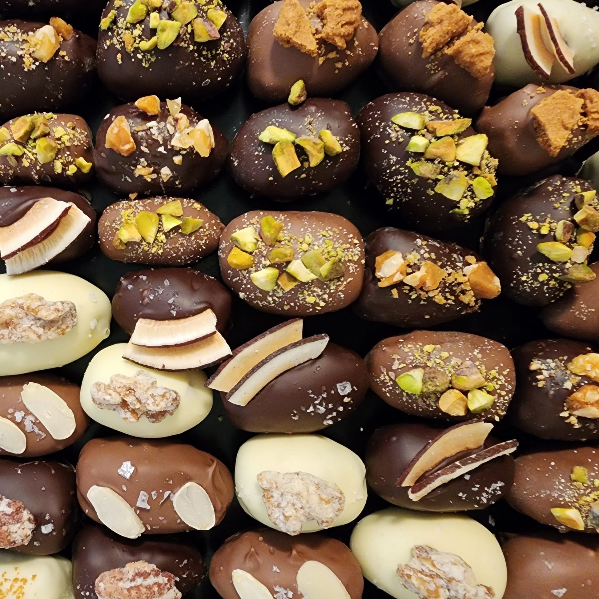 Close-up of about twenty chocolate-covered dates with visible sea-salt flakes, candied pecans, pistachio pieces, coconut and almond toppings in dark, milk and white chocolate